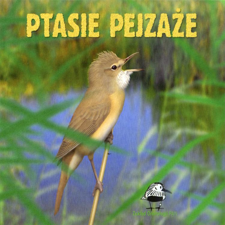 The songs and calls of birds from Poland's avatar image