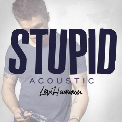 Stupid (Acoustic) By Levi Hummon's cover