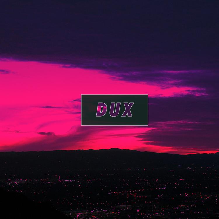 DUX's avatar image