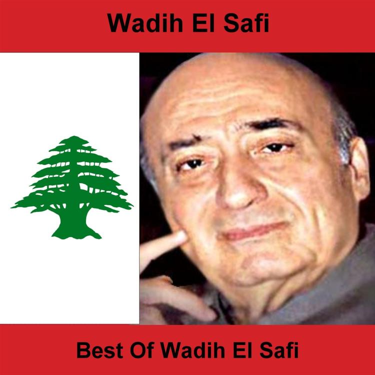 Wadih El Safi's avatar image