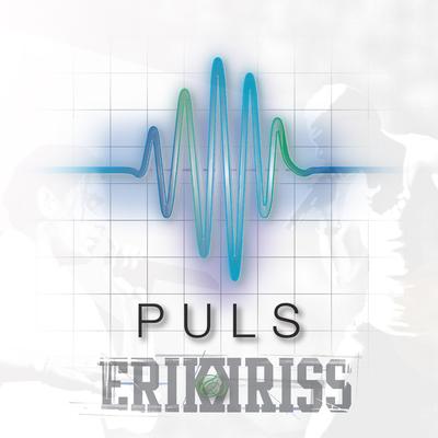 Puls By Erik Og Kriss's cover