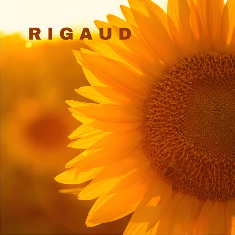 Rigaud's avatar image