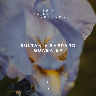 Vahé By Sultan + Shepard's cover