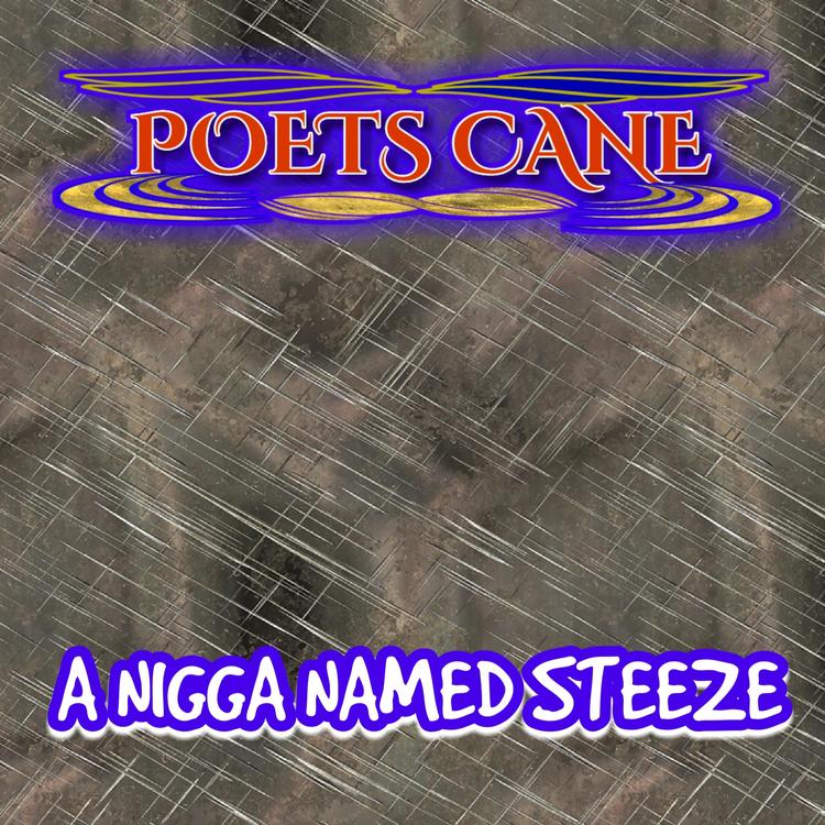Poets Cane's avatar image