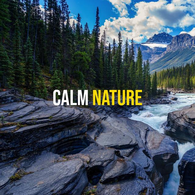 Calm Nature's avatar image