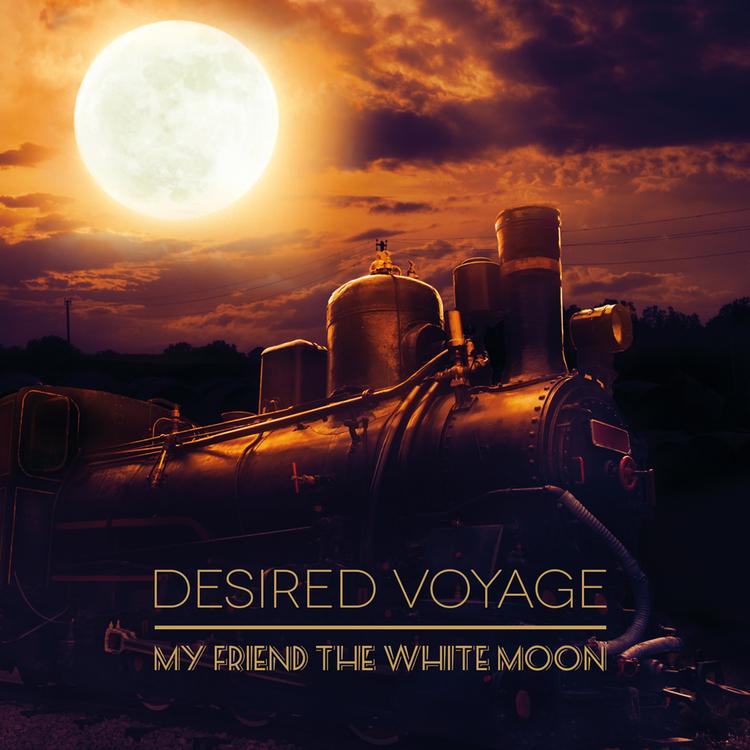 Desired Voyage's avatar image