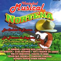 Variedad Musical Nortena's avatar cover