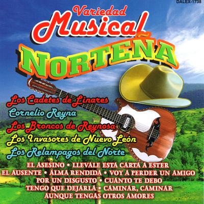 Variedad Musical Nortena's cover