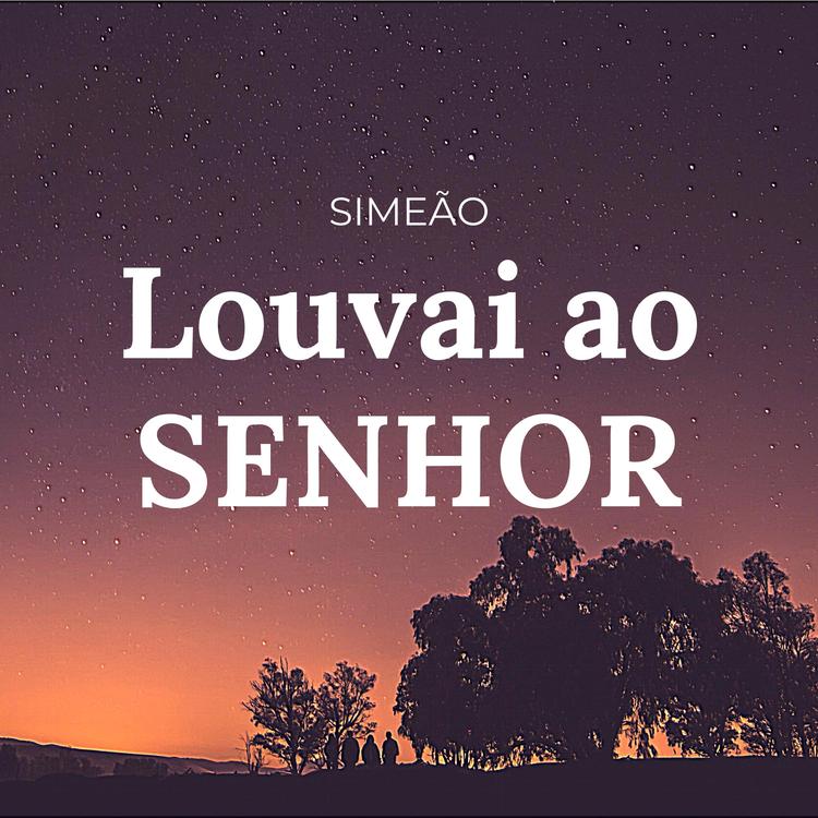 Simeão's avatar image