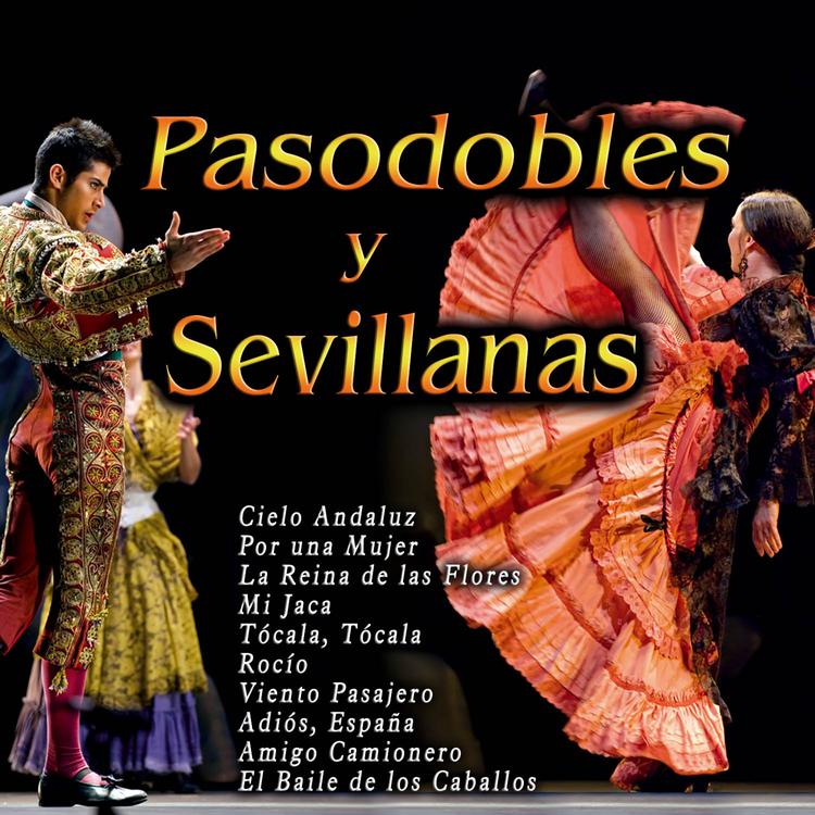 Coro Rociero de Sevillanas y Pasodobles's avatar image