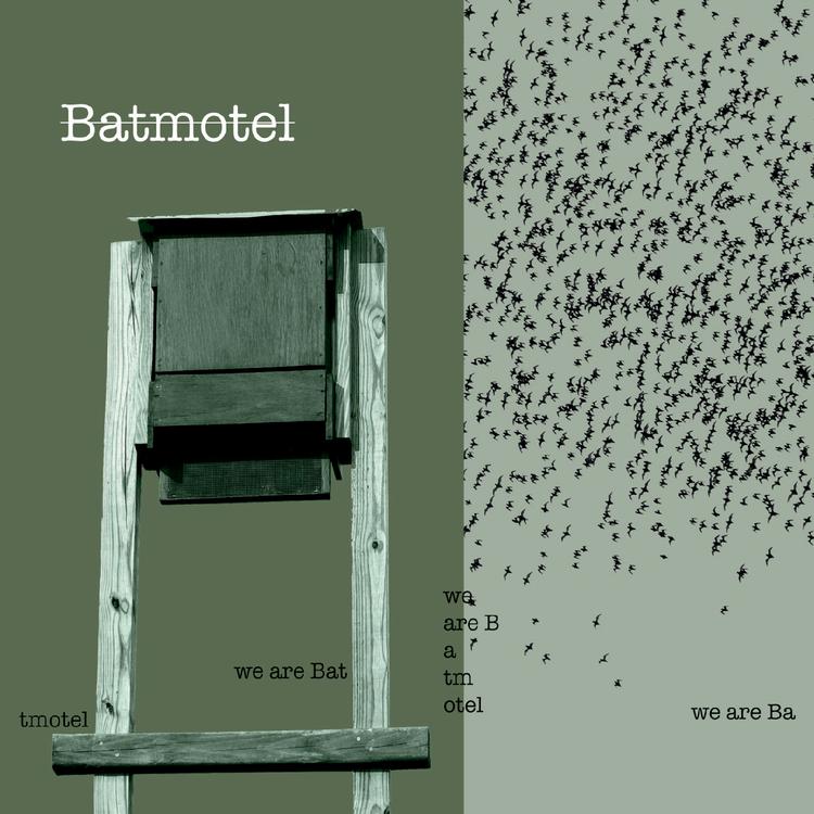 Batmotel's avatar image