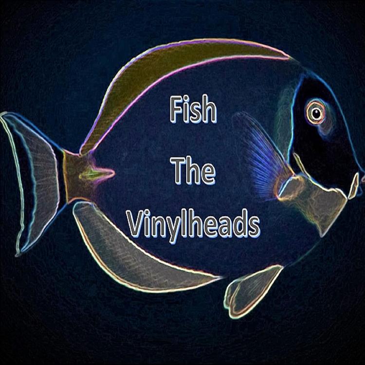 The Vinylheads's avatar image