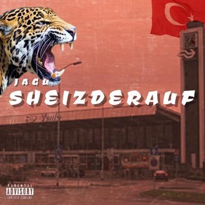 Sheizderauf's cover