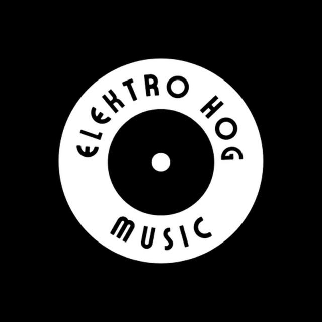 ELEKTRO HOG MUSIC's avatar image