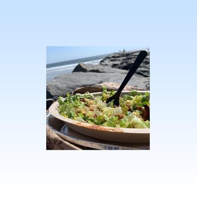 Burrito Bowls at the Beach's cover
