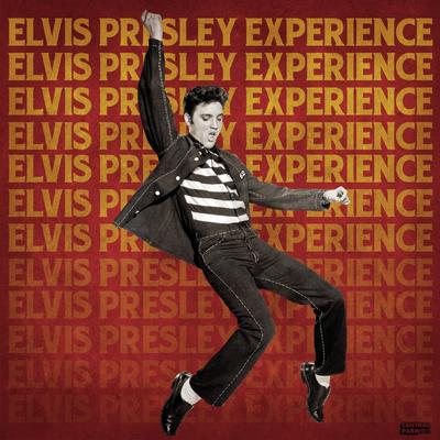 Unchained Melody By Elvis Presley Experience's cover