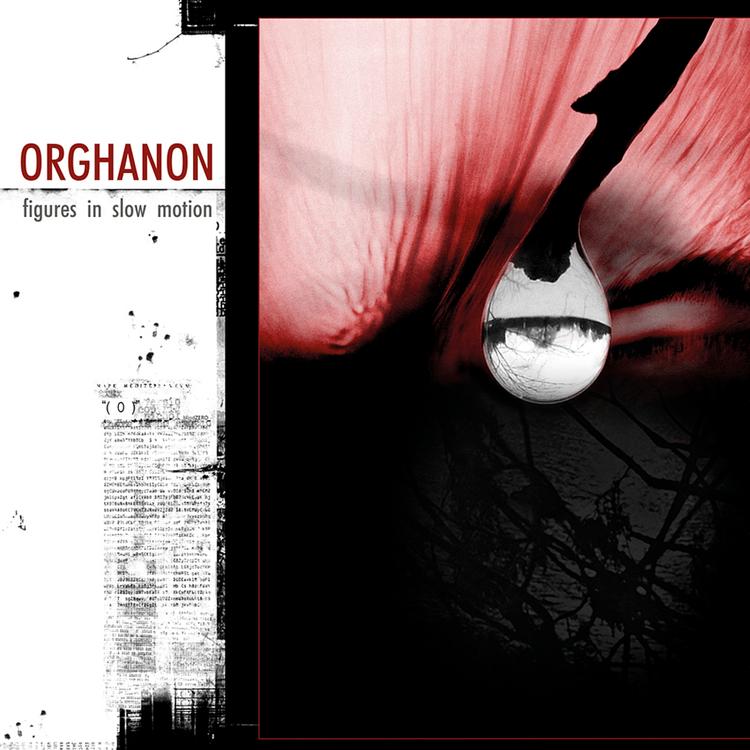Orghanon's avatar image