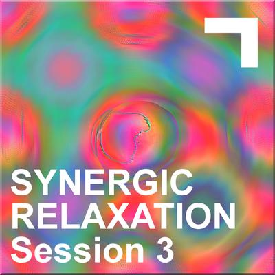 Synergic Relaxation – Session 3's cover