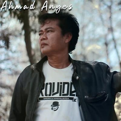 Ahmad Anyes's cover