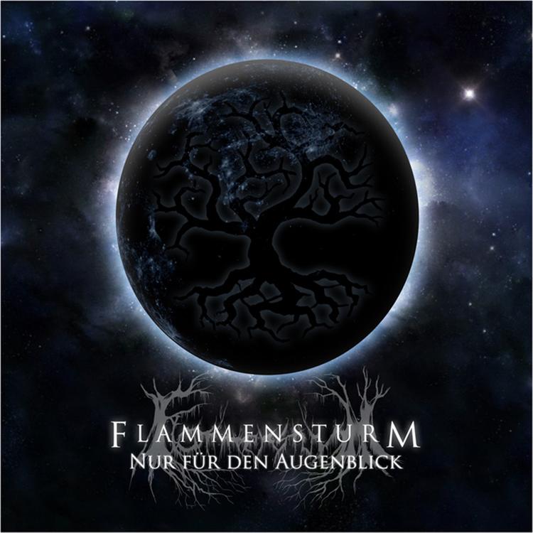 Flammensturm's avatar image