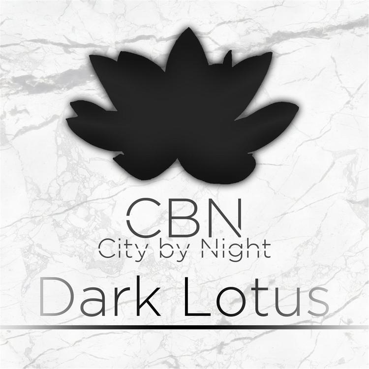 City by Night's avatar image