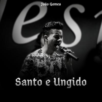 Santo e Ungido By João Gomes's cover