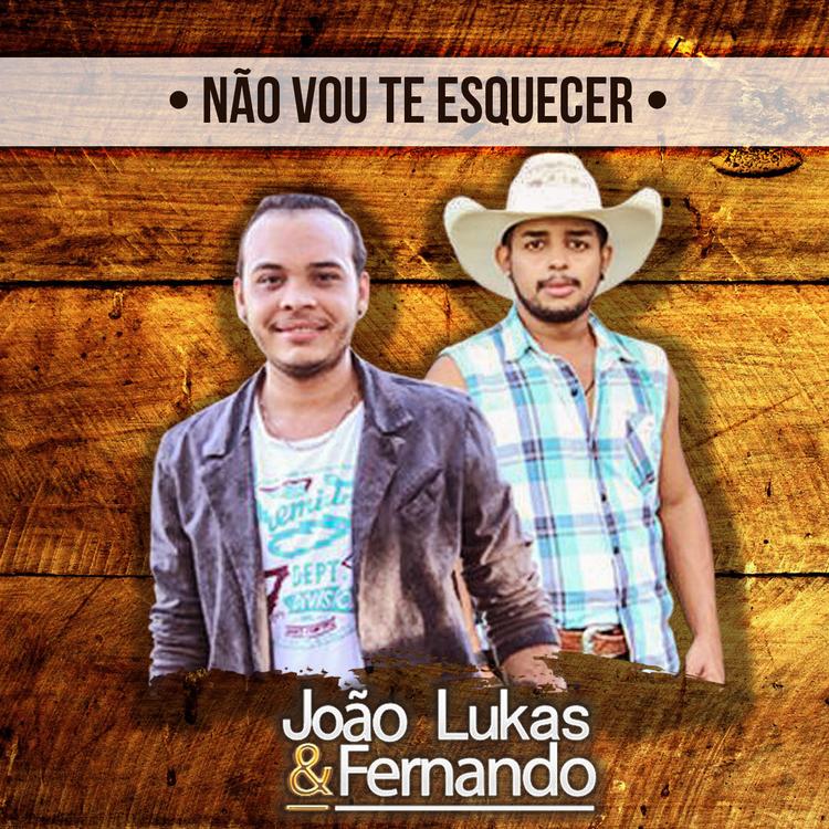 João Lukas & Fernando's avatar image