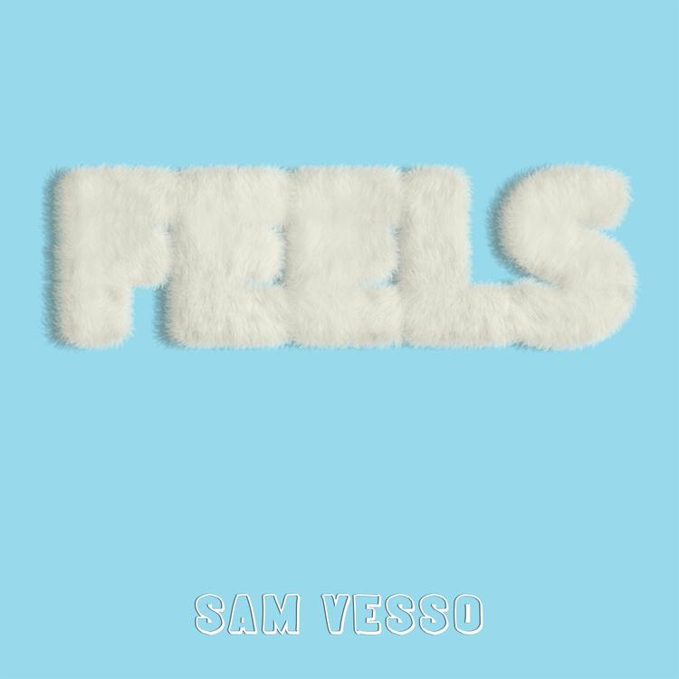 Sam Vesso's avatar image