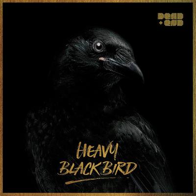 Heavy Black Bird's cover