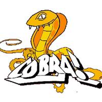 Cobra's avatar cover