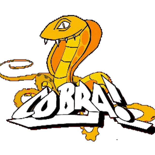 Cobra's avatar image