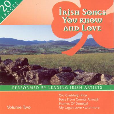 Irish Songs You Know And Love - Volume 2's cover