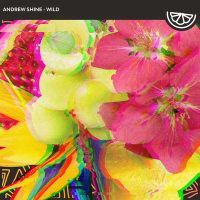 Andrew Shine's cover