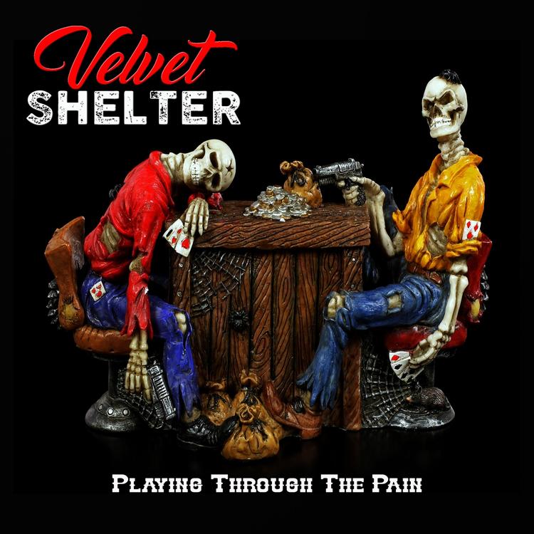 Velvet Shelter's avatar image