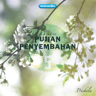 Pujian Penyembahan, Vol. 5's cover