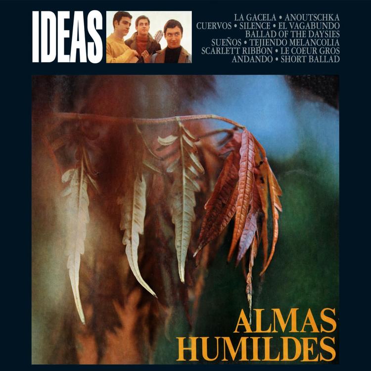 Almas Humildes's avatar image