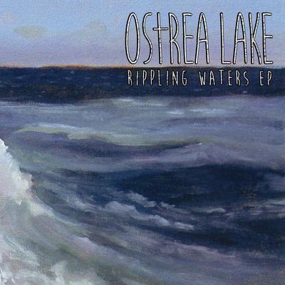 When the Storm Is Near By Ostrea Lake's cover