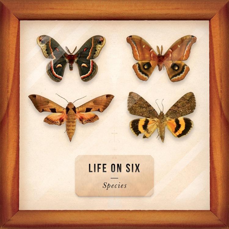 Life on Six's avatar image