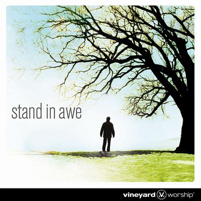 Stand In Awe By Jeremy Riddle's cover