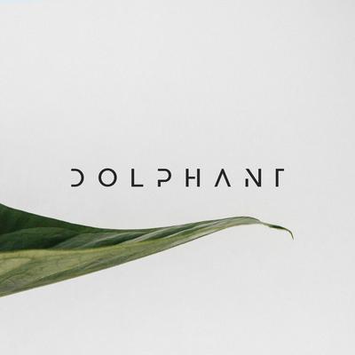 Dolphant's cover