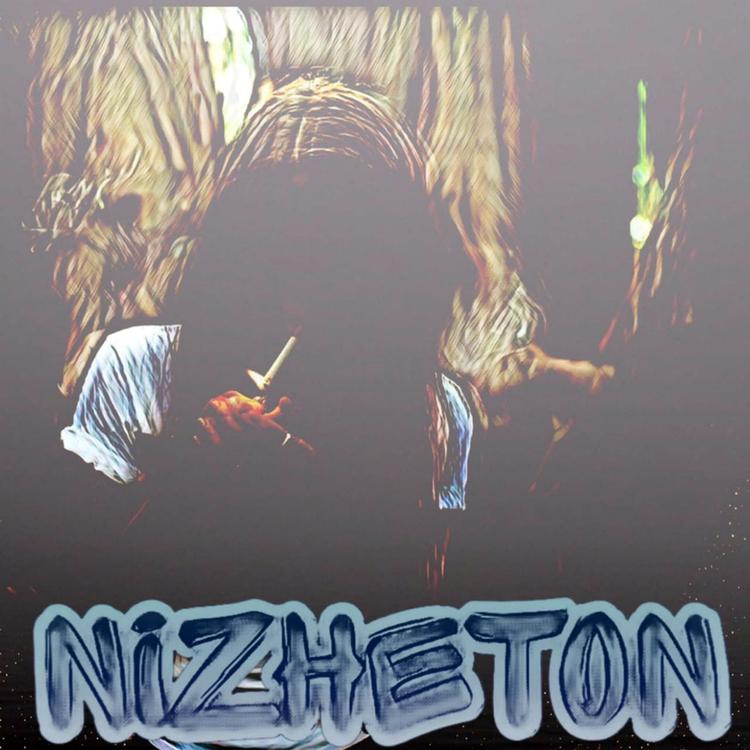 nizheton's avatar image