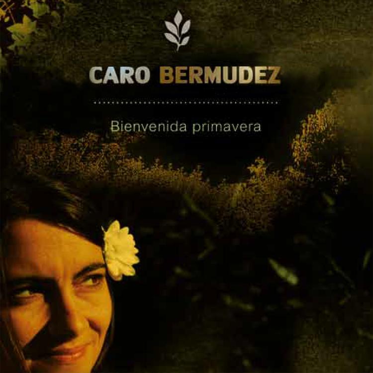 Caro Bermúdez's avatar image