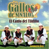 Los Gallos de Sinaloa's avatar cover