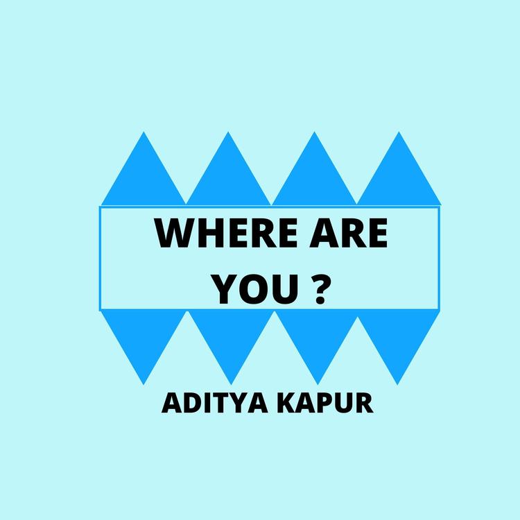 Aditya Kapur's avatar image