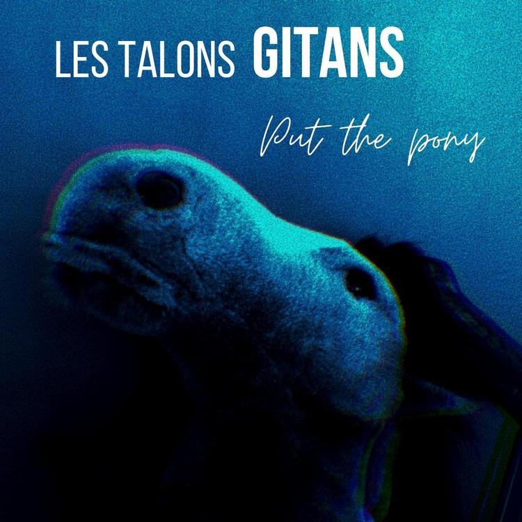 Les Talons Gitans's avatar image