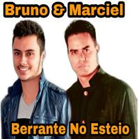 Bruno E Marciel's avatar cover