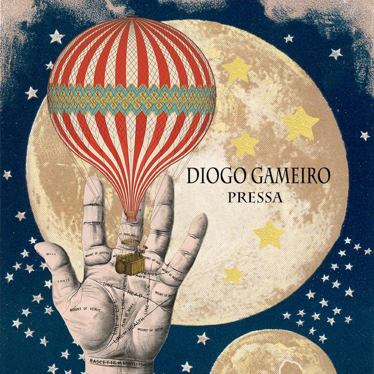 Diogo Gameiro's avatar image