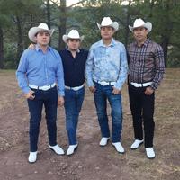 Los Elementos de Culiacan's avatar cover