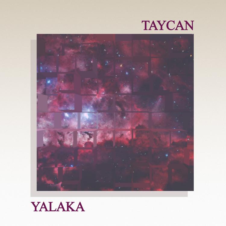 Taycan's avatar image