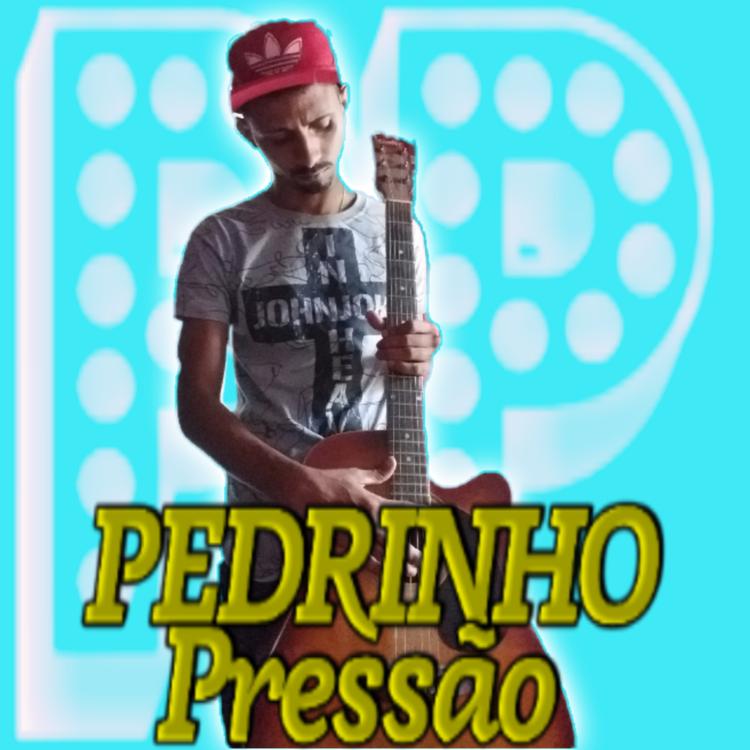 Pedrinho Pressão's avatar image